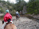rutas a caballo asturias,rutas a caballo en asturias picos de europa.hipico,hipica